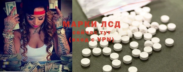 стафф Белокуриха