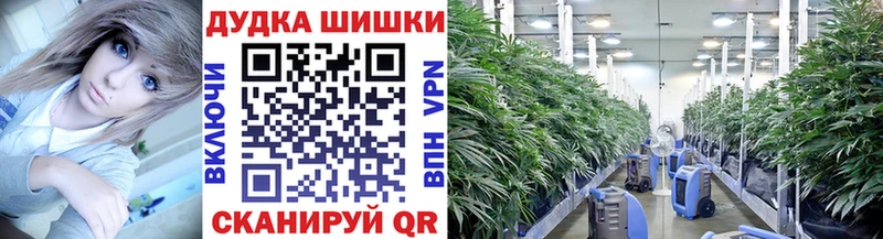 МАРИХУАНА VHQ  Купить где  Корсаков 
